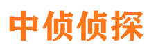 龙泉驿寻人公司